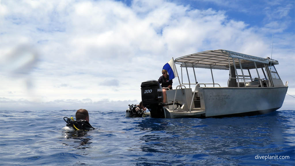 Big Fish Dive Centre Rarotonga Cook Islands