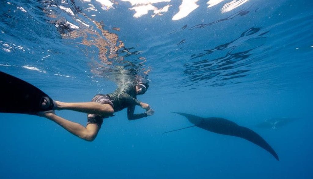 Barefoot Manta Island Dive Shop Yasawa Islands Fiji