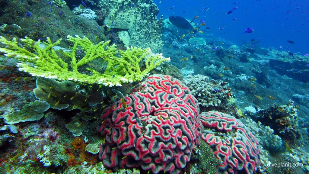 Tawali Leisure and Dive Resort, Milne Bay, Papua New Guinea