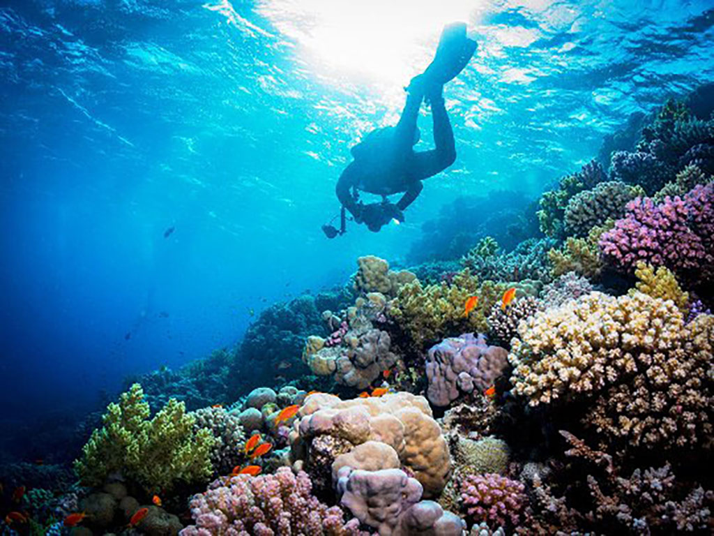 Malaysia - 6 of the best places to dive