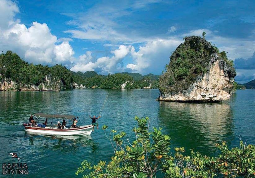 Papua Diving Resorts Kri  Island  Raja Ampat Indonesia 