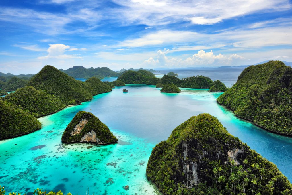 Raja Ampat Diving Resorts & Liveaboards | Diving Raja Ampat