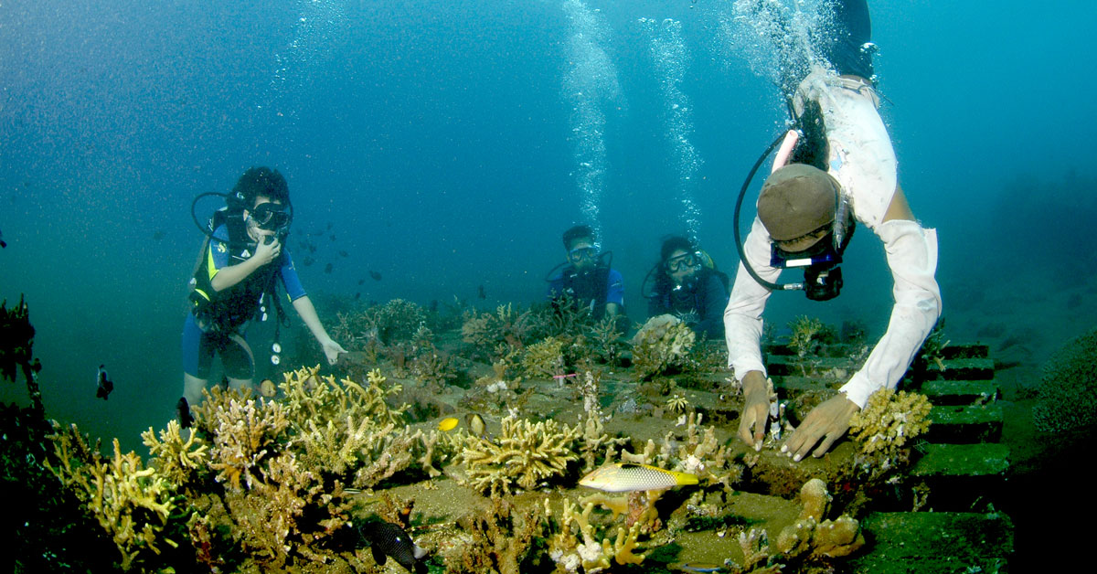 Volunteer For Coral Reef Restoration At Sea Communities In Bali