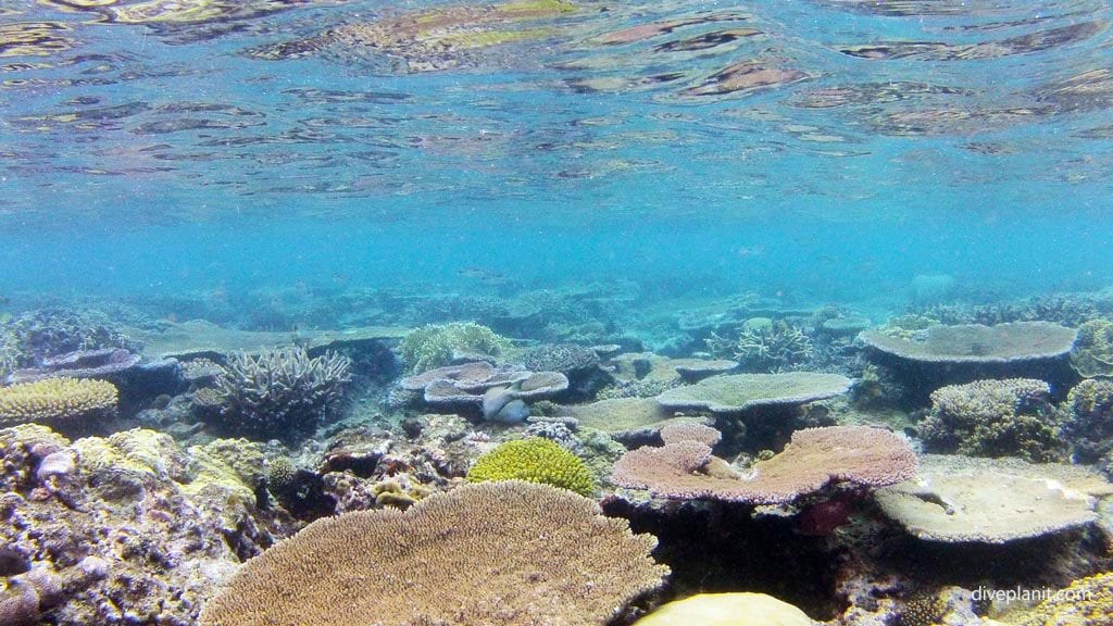 Hideaway Island Resort and Marine Sanctuary, Port Vila