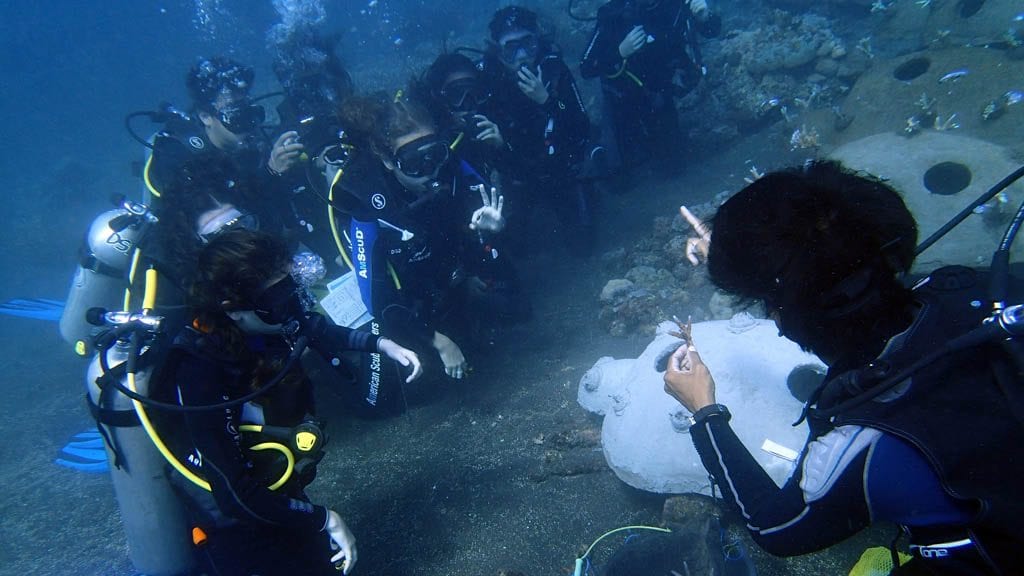 Volunteer For Coral Reef Restoration At Sea Communities In Bali