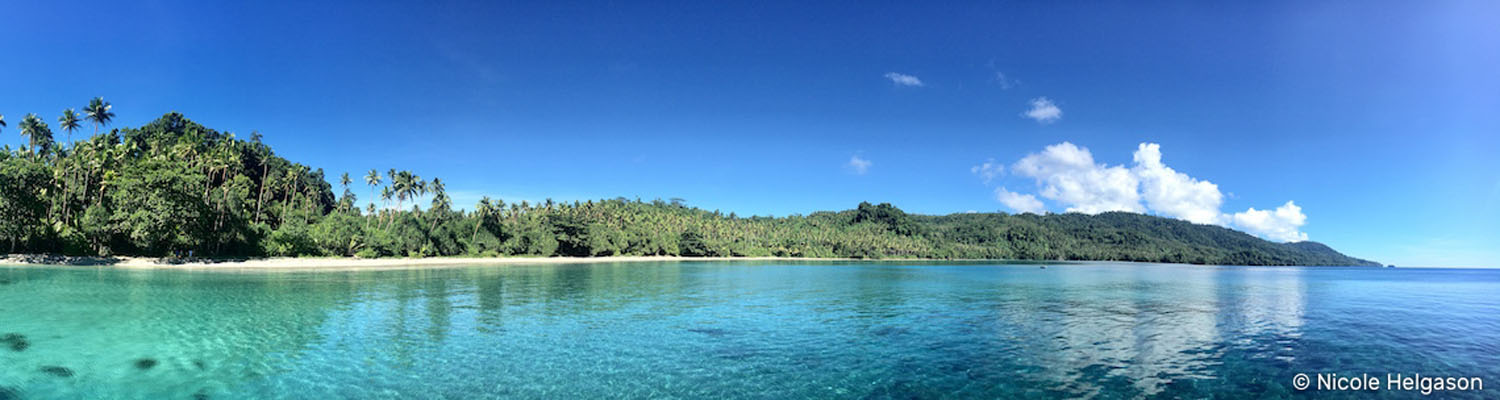 Diving Halmahera – Weda and Rao, a paradise for coral-lovers