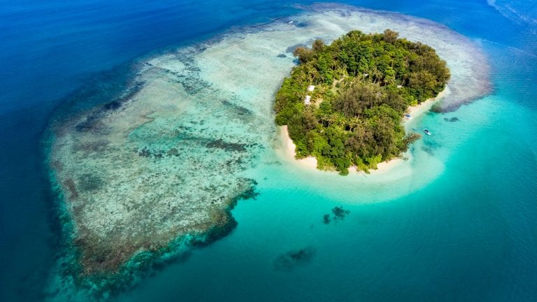 Papua New Guinea turtle conservation at Lissenung Island