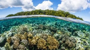 Dive from Solomon Islands to PNG: WWII history in the heart of the ...