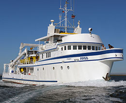 Argo Liveaboard, Cocos Island, Costa Rica