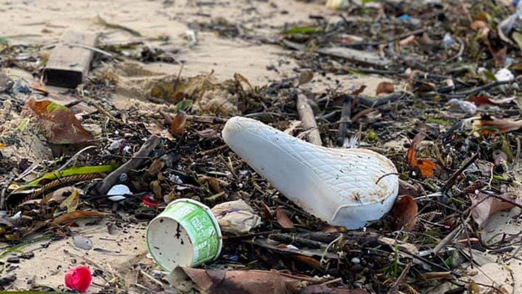 Take 3 for the Sea CEO Beach Clean-up | CEO Beach Clean-up in Manly