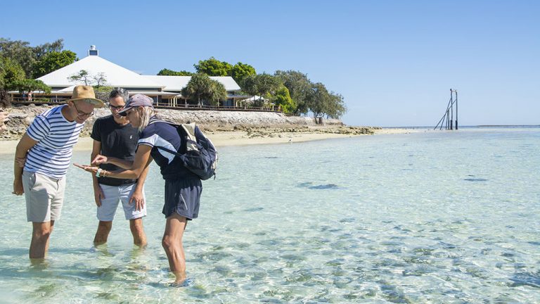 10 ways to help conserve and protect the Great Barrier Reef