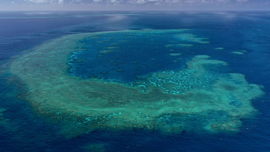 5 Ways to help save the Great Barrier Reef | Reef Restoration Projects