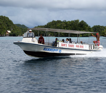 sam's tours palau